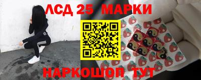 прущие грибы Краснокаменск